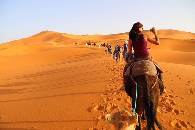 3-Day Luxury Desert Tour from Marrakech to Merzouga Desert - Day 2: Palm groves, Todra Gorge, and Erg Chebbi