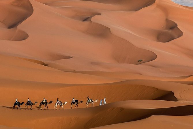 3 Day Marrakech to Fes desert Tour - Camel Trek - What the tour includes, and what it does not