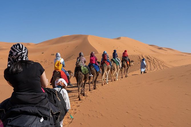 3 Day Marrakech to Fes desert Tour - Camel Trek - Day two: Todra Gorges and the road to Merzouga
