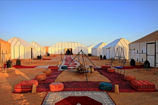 3-Day Marrakech to Fes Sahara Desert Tour via Merzouga - Day three: Sunrise, the Ziz Valley, and Azrou’s monkeys