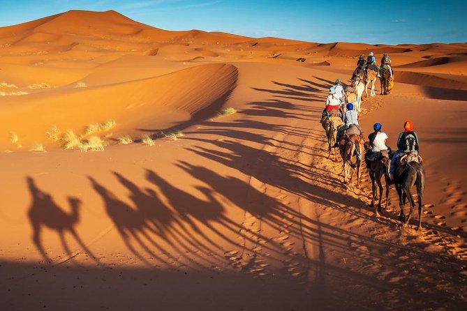 3-Day Marrakech to Fes Sahara Desert Tour via Merzouga - Is $220.14 good value?