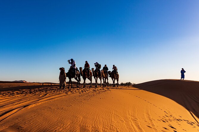 3-Day Marrakech to Merzouga Desert Tour: Camel Rides & Overnights - The Erg Chebbi camp is the main event