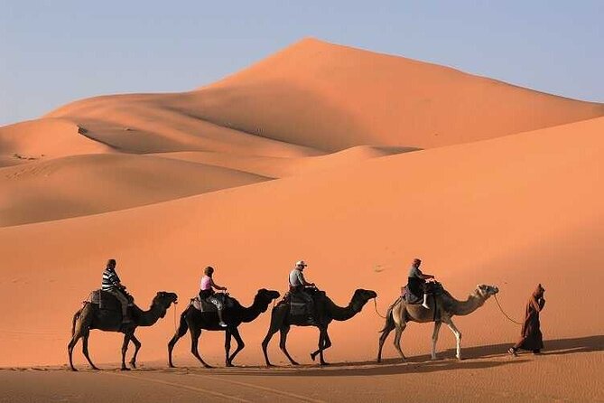 3-Day Marrakech to Merzouga Desert Tour: Camel Rides & Overnights - Day three: sunrise, roses, and the long return