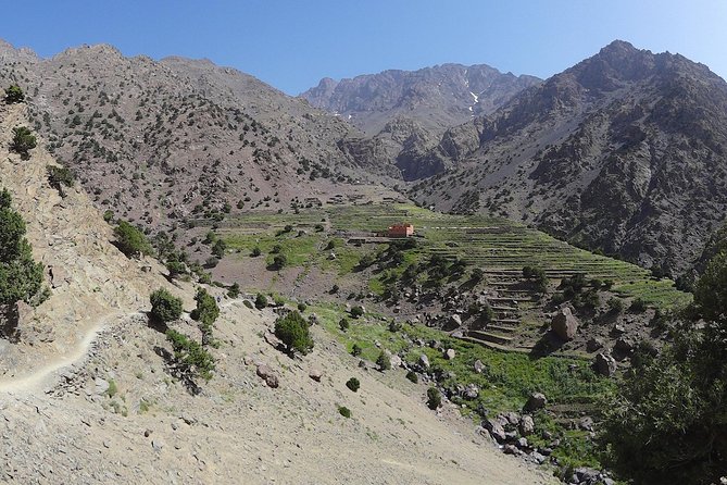 3-Day Mount Toubkal Climb from Marrakech - Is $340 good value?
