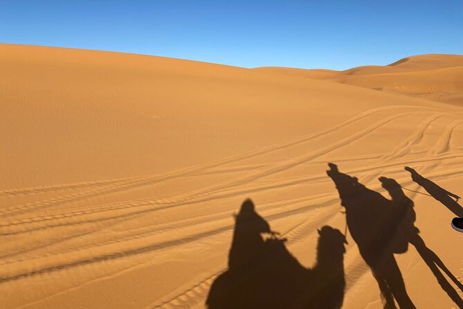 3-Day Private Tour in the Moroccan Desert - Through the Valley of Roses to Ait Ibrirne