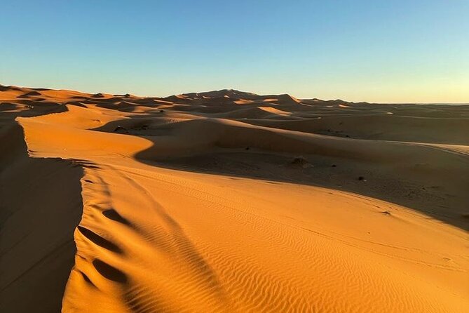 3-Day Private Tour in the Moroccan Desert - Day two: gorges, villages, and fossil country