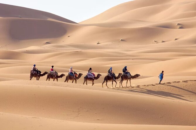 3-Day Sahara Adventure: Marrakech to Fez via Merzouga - Why the Marrakech to Fes route works so well