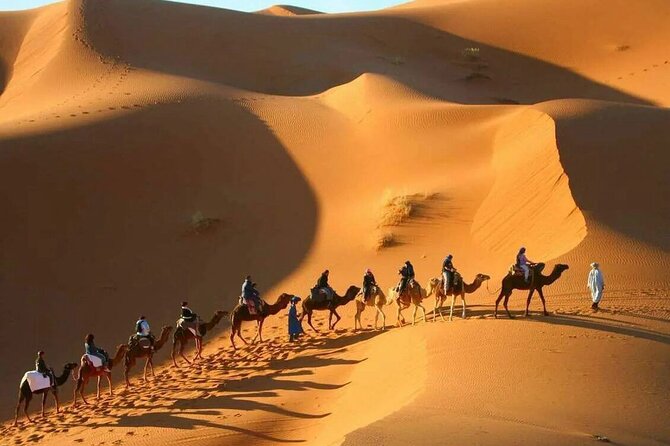 3-Day Sahara Adventure: Marrakech to Fez via Merzouga - Day two: Todra Gorge before the Sahara