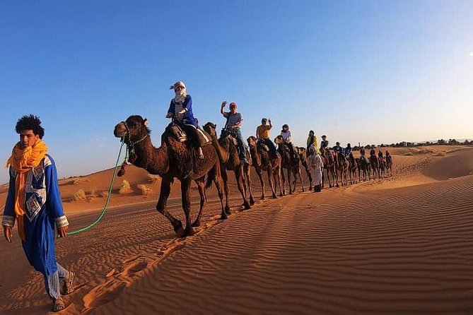 3 Day Sahara Desert Tour From Marrakech - Day three: Rissani, the Anti-Atlas, and the long return