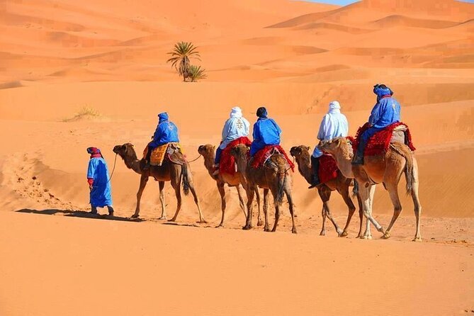 3-Day Tour from Marrakech to Merzouga Desert - Key Things to Know Before You Book