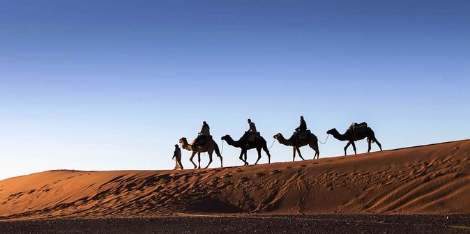 3 Days 2 Nights Adventure from Marrakech to Fez via Desert - Ouarzazate, the Valley of Roses, and Dades Gorge