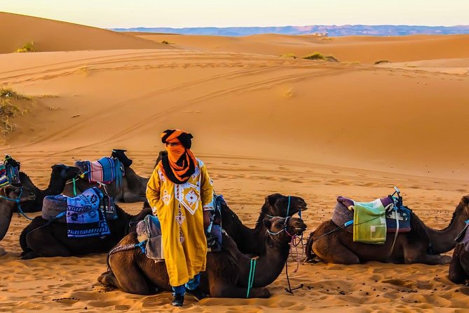 3 Days 2 nights Desert Tour from and back to Marrakech - Camel sunset and a night at the luxury camp