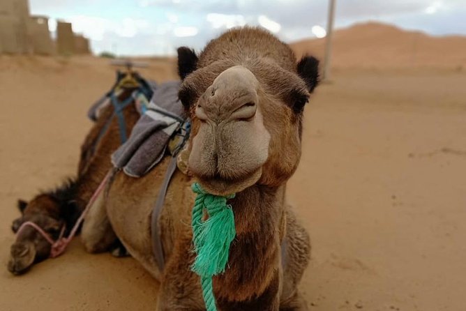 3 Days 2 Nights: Desert Tour from Fes to Marrakech - Why this route is more than a simple Fes to Marrakech ride
