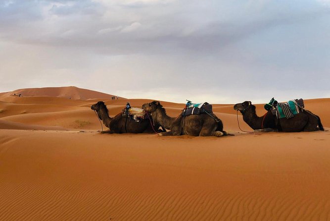 3 Days 2 Nights: Desert Tour from Fes to Marrakech - Ouarzazate: cinema and Taourirt Kasbah