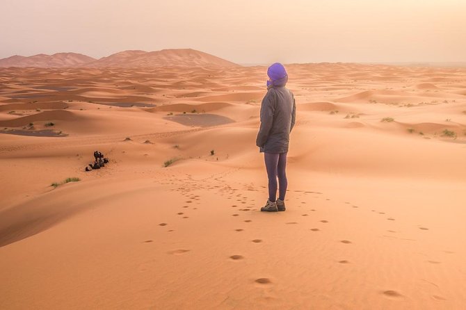 3 Days 2 Nights: Desert Tour from Fes to Marrakech - What the vehicle, meals, and guide setup mean