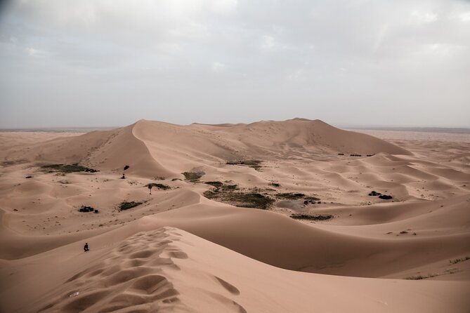 3 Days 2 Nights Desert Tour from Fes to Marrakech via erg Chebbi - The vehicle, group size, and driver quality