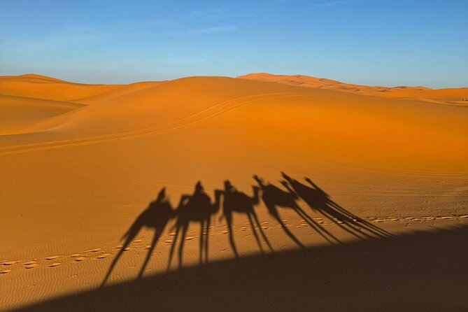3 Days 2 Nights Desert Tour from Fes to Marrakech via Merzouga - The driver makes a real difference