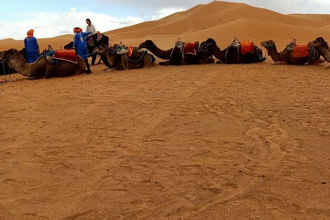 3 Days 2 Nights: Desert Tour from Fes to Marrakech - Day 1: Ifrane, Midelt, and the Ziz Valley