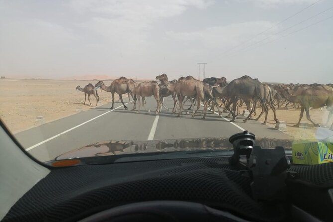 3 Days 2Nights Desert Trip to Fez from Marrakech - Ouarzazate and the Valley of Roses