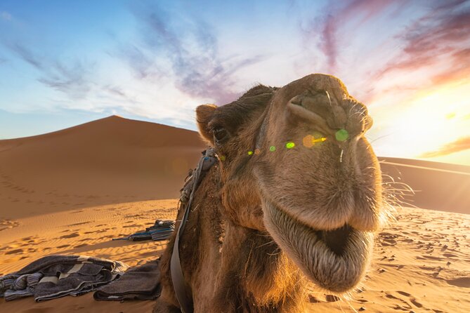 3 Days Desert Tour from Fes to Marrakech via Merzouga - Why this Fes to Marrakech route works