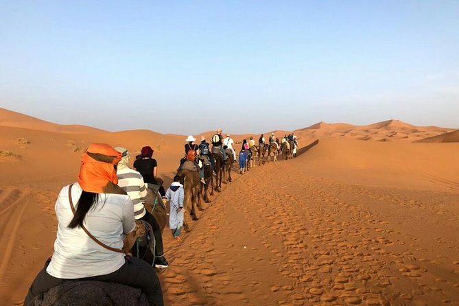 3 Days Desert Tour from Fes to Marrakech via Merzouga - Day two: Todra Gorge and the Dades Valley