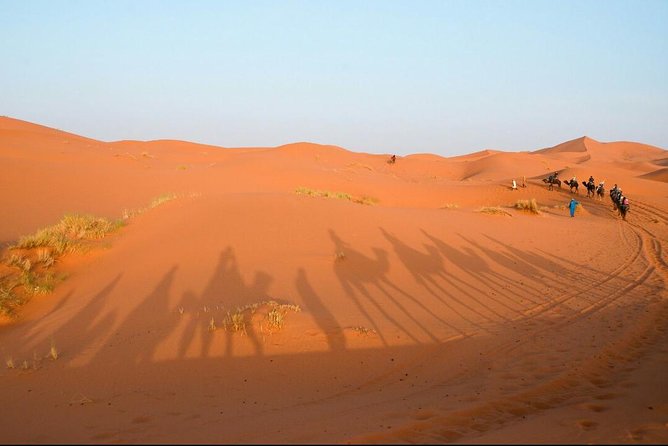 3 Days Desert Tour from Fes to Marrakech via Merzouga - What the private format really adds