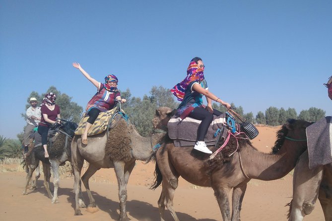 3 Days Desert tour from Fez to Marrakesh via Merzouga Erg chebbi - Day 3: Ouarzazate, Ait Ben Haddou, and the High Atlas