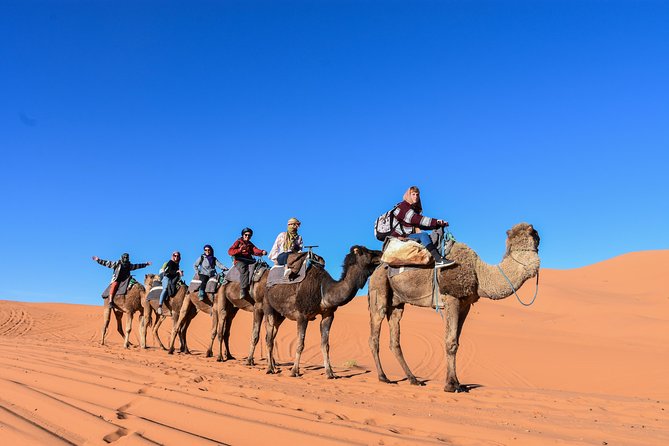 3 Days Desert tour from Fez to Marrakesh via Merzouga Erg chebbi - Meals, hotels, and extra costs