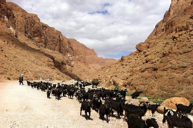 3 Days Desert Tour From Marrakech To Merzouga Désert And World Heritage Kasbah - Across the desert edge to Merzouga