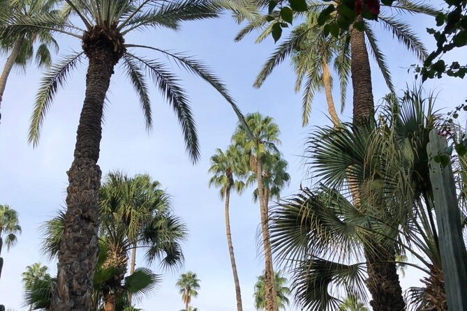 3-Days Desert Tour Marrakech to Fes via Merzouga Desert - Day three: the Ziz Valley, Midelt, and the cedar forests