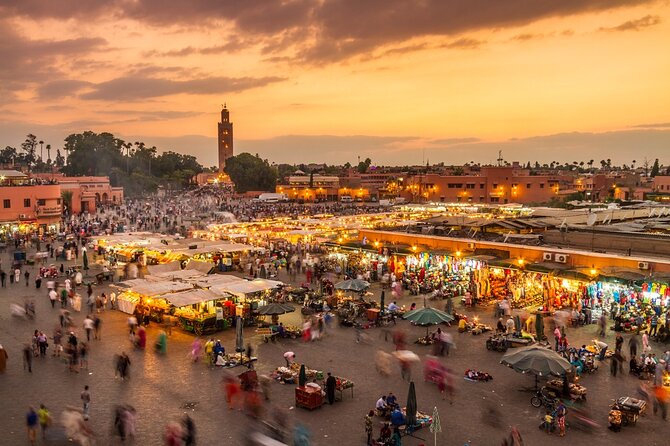 3-Days Desert Tour Marrakech to Fes via Merzouga Desert - Who should book this desert tour?