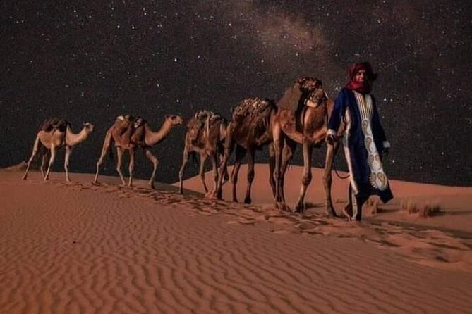 3 Days Luxury Desert Tour From Fes To Marrakech via Merzouga - Sunrise, Rissani, Erfoud, and the Todra Gorges