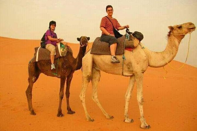 3 Days Luxury Desert Tour From Fes To Marrakech via Merzouga - What the $221 price really buys