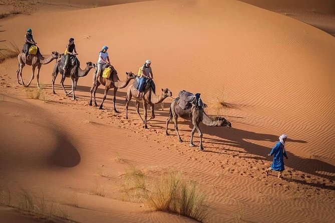 3 Days Marrakech To Fes Desert Tour Via Merzouga - Crossing the High Atlas From Marrakech
