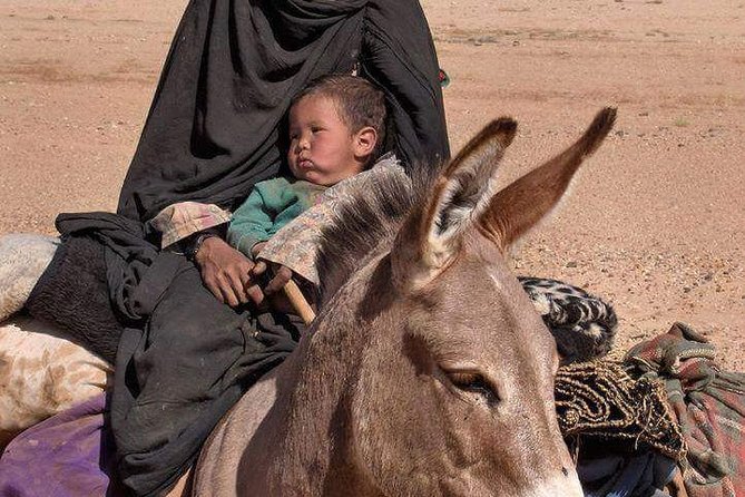 3 Days Marrakech To Fes Desert Tour Via Merzouga - Comfort, Group Size, and Guide Service