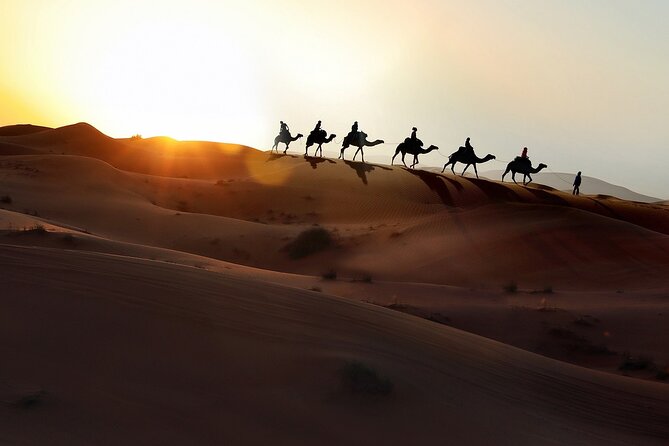 3-Days Morocco Desert Tour from Marrakech to Marzouga - What $102.19 really gets you