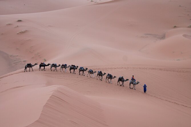 3-Days Morocco Desert Tour from Marrakech to Marzouga - Comfort, group size, and what to pack