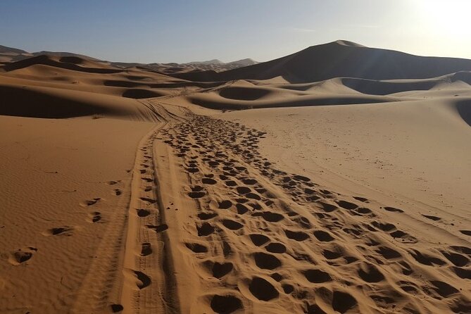 3 Days Private Desert Tour From Fez To Marrakech - Day three: roses, Skoura, and Ouarzazate