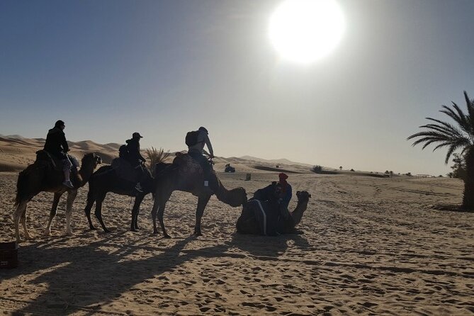 3 Days Private Desert Tour From Fez To Marrakech - Crossing the High Atlas to Marrakech