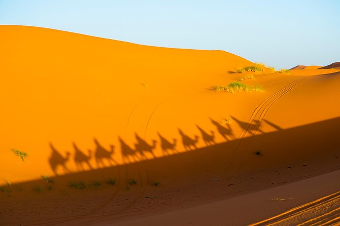 3-Days Private Tour from Marrakech to Fez through Merzouga Desert - What the $801.40 price really buys you