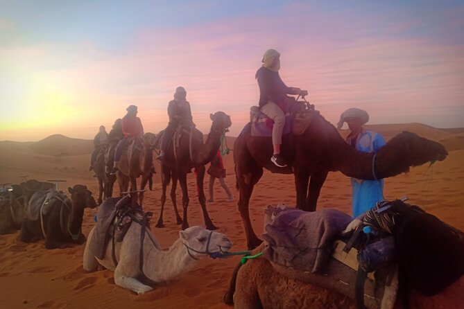 3 Days Sahara Tour from Marrakech to Merzouga Dunes - Guides, stops, and the human side of the route