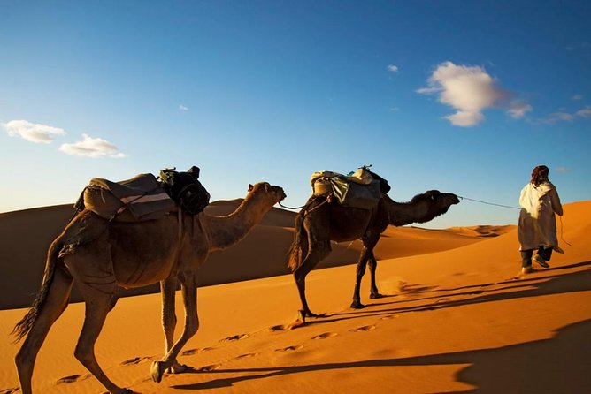 3-days shared Merzouga desert tour from Marrakech - Day 2: Todra Gorge, Rissani, and the Erg Chebbi dunes