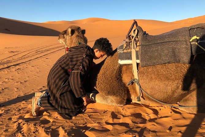 3 Days Shared Sahara Desert Tour From Marrakech - Day three: sunrise, Rissani, and the return west