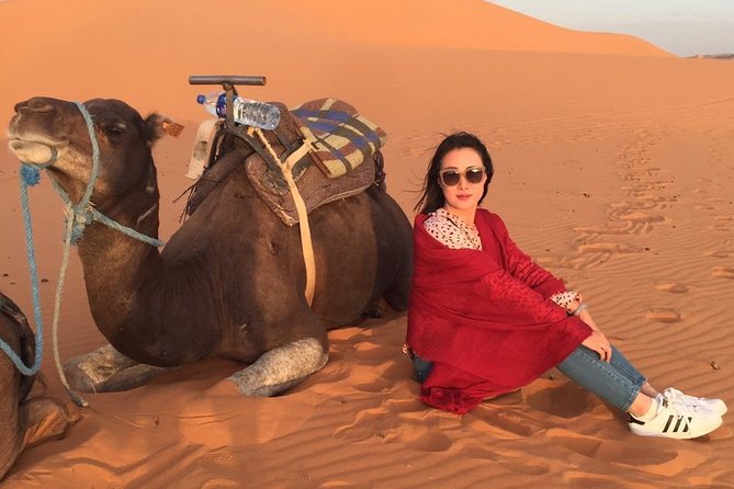 3 Days Tour luxury Experience in the great Sahara in Merzouga. - Ouarzazate and the film-making connection