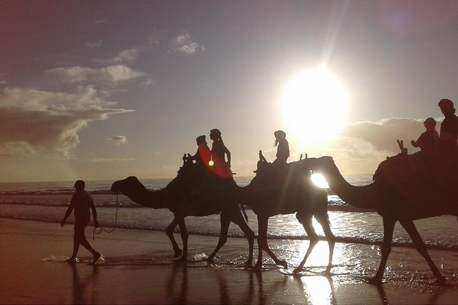 3-hour camel ride at sunset - Reaching the beach near Essaouira