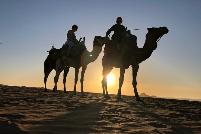 3-hour camel ride at sunset - Diabat, old ruins, and a possible café stop