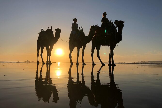 3-hour camel ride at sunset - Why the sunset timing matters