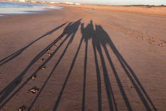 3-hour camel ride at sunset - Price, value, and what the three hours really buy you