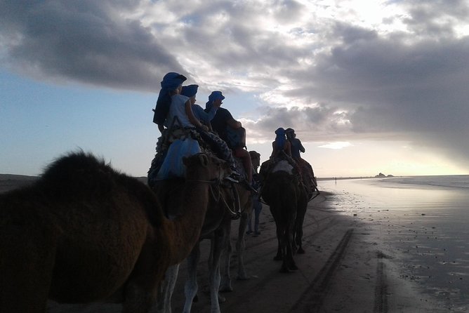 3-hour camel ride at sunset - Getting settled on your camel or horse