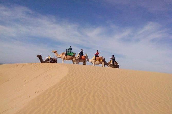3 hours Camel Ride in Essaouira, beach and dunes - Key points at a glance